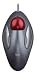 Produktbild Logitech TrackMan Marble, USB, grau