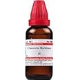 Dr. Willmar Schwabe India Cineraria Maritima Q 30 ML (Pack of 2)