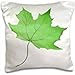Produktbild Anne Marie Baugh Nature - A Pretty Green Autumn Leaf Image - 16x16 inch Pillow Case