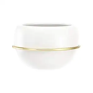 AmazonBasics Wall Planter, Round - White/Brass