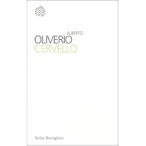 Cervello
