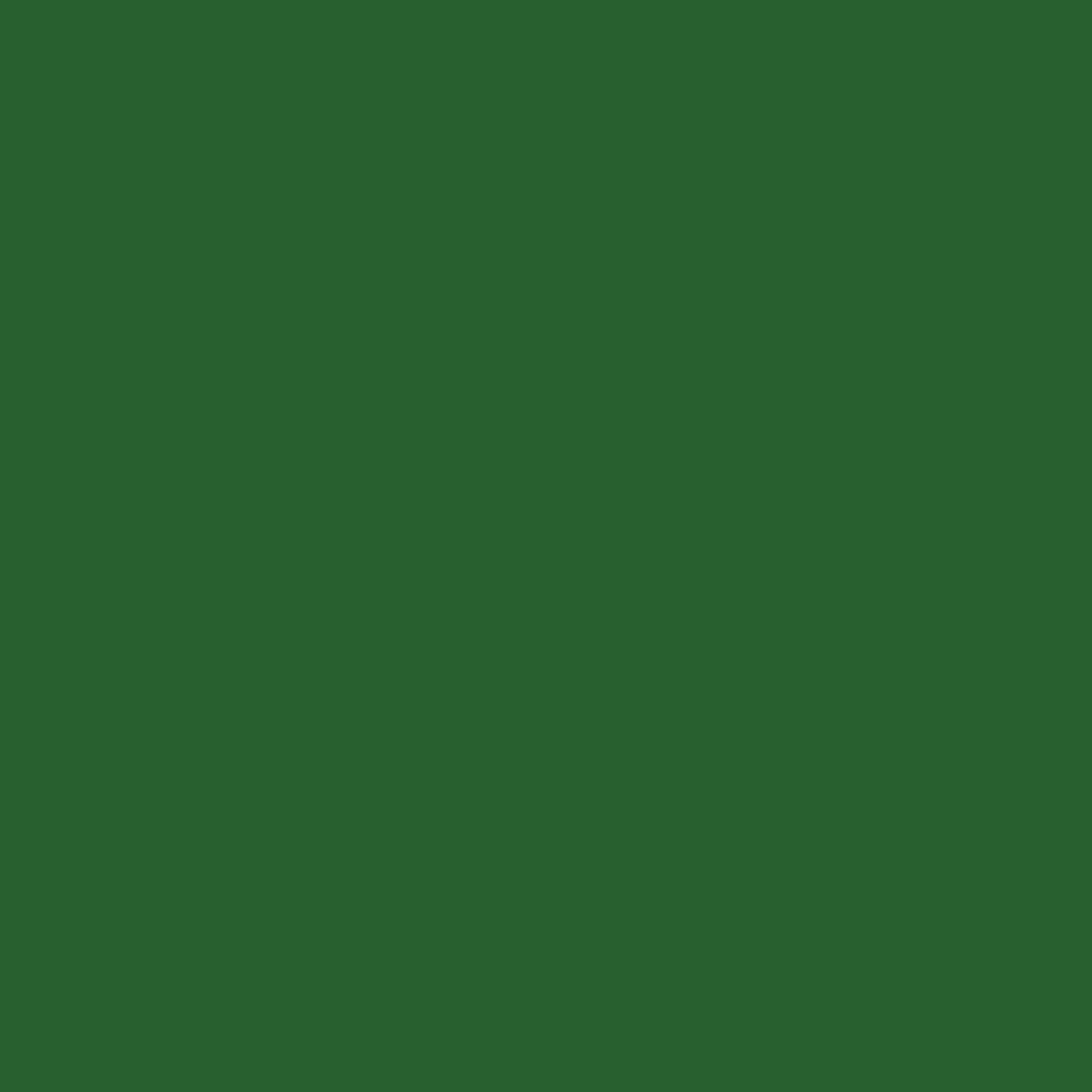 8, 24EUR/L - 20L Bodenfarbe Garagenfarbe im Farbton entspr. RAL 6002 Laubgrün Boden Beton Keller Estrich Zement Farbe Beschichtung Fußbodenfarbe Garagenfarbe Betonfarbe Industriefarbe