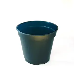 GROVALUE Planter/Pot/Gamla for Garden Nursery Flowering 6.5 Inch 24 Pieces