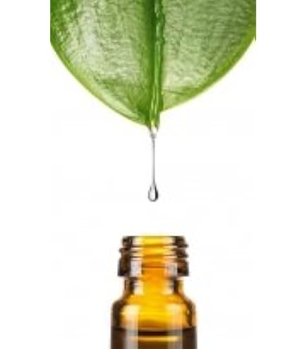 Aloe Vera Extrakt Pulver 200:1 BIO, 1kg von Dragonspice Naturwaren, 1kg :  Amazon.de: Drogerie & Krperpflege
