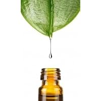Dragonspice Naturwaren - Gewürzmühlen