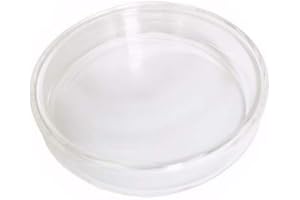 MUHWA Piatti Petri in vetro da 90 mm con coperchio Petri piastre di coltura del tessuto (10)