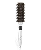 Shine Angel Professional Ultra Shine Radial Brush