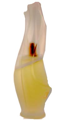 Preisvergleich Produktbild CASHMERE MIST von Donna Karan