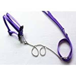 zantec Generic verstellbar Reptile Eidechse Harness Leine verstellbar Multicolor, weiche Fashion (lila)