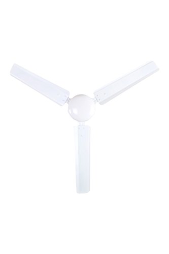 Buy I Flo Zoom 1200mm Dust Proof Ceiling Fan White Online At Low