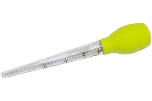 Fackelmann 4105350 Poire à Jus avec Embout Silicone/Acier Inoxydable Vert Anis