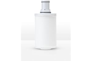 Espring Carbon Water Treatment System - Filtro di ricambio (non funziona per il sistema di depurazione! MODEL#101194)