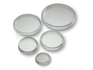 Petrischaal glas met deksel 15 x 100 mm kopen