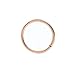Price comparison product image erthome 1pcs 6mm Seamless Hinged Segment Sleeper Clicker Ring Hoop Ear Lip Nose Septum Piercing (Rose Gold)