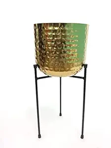 SK Decor Iron Rod Stand with Planter Set of 6,Gold Plating and Black matt Powder Coated (Size-9 * 9 * 24)