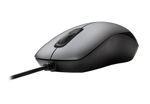 Preisvergleich Produktbild Trust Evano Compact Optische Maus schnurgebunden schwarz