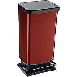 Rotho 1754110265 Poubelle de Recyclage, Acier Inoxydable, Rouge, 40 Liter