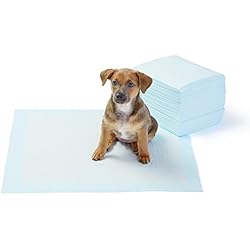 AmazonBasics - Toallitas de entrenamiento para mascotas (tamaño regular, 50 unidades)