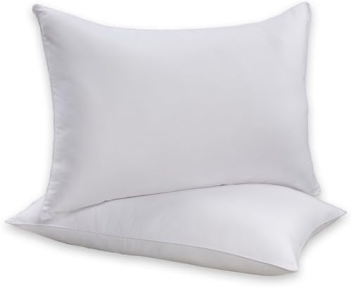 Beautyrest Sneeze Less Pillow, Two Pack, Standard Size by Hollander