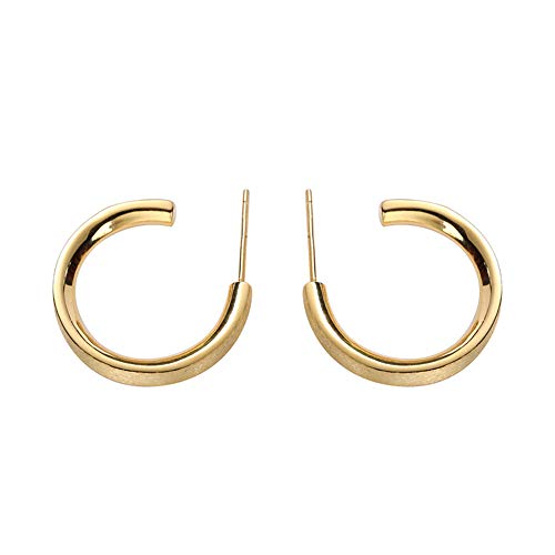 Preisvergleich Produktbild XL_erdhu Sterling Silber übertrieben Ohrringe weiblich rund