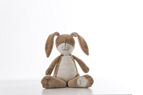 Großen Mutter Feldhasen, erraten, wie sehr ich dich liebe - 2