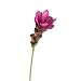 Produktbild Künstliche Kurkuma Blüte MARIEL, violett, 60 cm, Ø 9 cm - Kunstblume / Dekoblume - artplants