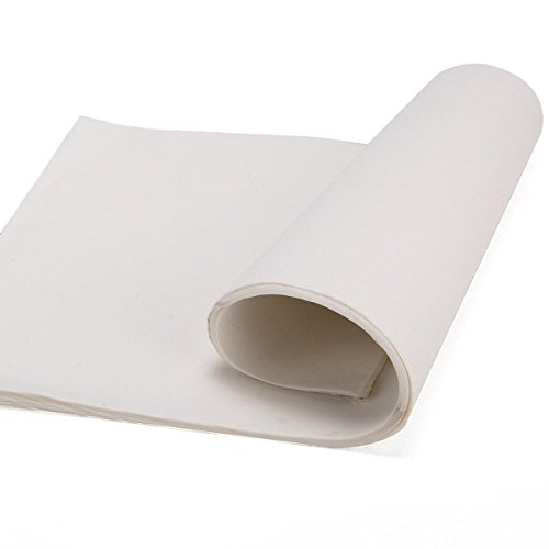 ULTNICE Chinesische Kalligraphie Reispapier Chinesische Tinte Malerei Sumi Zeichnung Papier Reispapier für chinesische Kalligraphie Pinsel Schreiben Sumi Set
