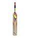 Puma evoSpeed 3000 English-Willow Cricket Bat, Size 6 RS.4746.87