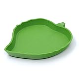 ThinkPet Blatt Fressnapf Reptilien Terrarium Aquarium...