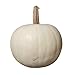 Produktbild 1 Snowball Kürbis - weiß ca. 600 Gramm und ca. 10-15 cm Durchmesser - ALS Halloweenkürbis und Speisekürbis
