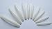 Extra Extra Long Salon Fetish Length Natural Opaque Nail Tips - 20