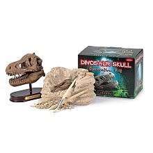 Preisvergleich Produktbild GeoCentral Excavation Dig Kit: Dino Skull by GeoCentral TOY (English Manual)