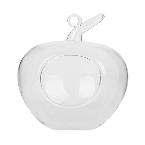 Klar Apfel Förmige Glas Hängen Vase Flasche für Pflanze Blume Schmuck