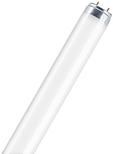Leuchtstofflampe L 15 Watt 865 Tageslicht - Osram