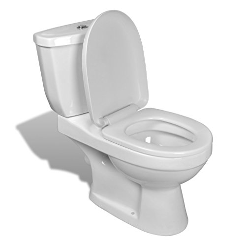 vidaXL Design Stand Toilette/WC Bodenstehend Keramik Sitz inkl. Spülkasten Weiß 240549