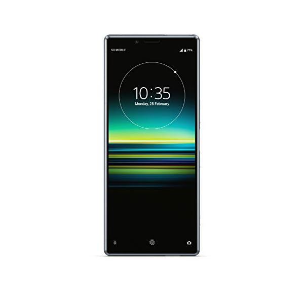 Sony Xperia 1 128 GB Smartphone (16, 5 cm (6, 5 Zoll) OLED Display, Triple-Kamera, IP65/IP68, 6 GB RAM, Android 9) Grau