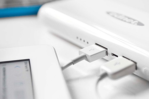 ednet 31883 Power Bank mit LED-Taschenlampe, Kapazität: 10.000 mAh, 2x USB Port (2,1A +1A) + Micro USB, kompakte Größe, weiß - 3