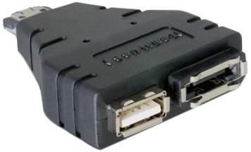 Delock Adapter (eSATA, USB)