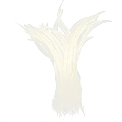 Générique Plume de coq Appliques à Coudre Couture Déco Vêtement Chapeau DIY Bijoux 35-40cm - Blanc