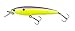 Produktbild Yo-Zuri F1157 PUCL 3DS Minnow Suspending Lure, 4-Inch, Purple Back Chartreuse by Yo-Zuri