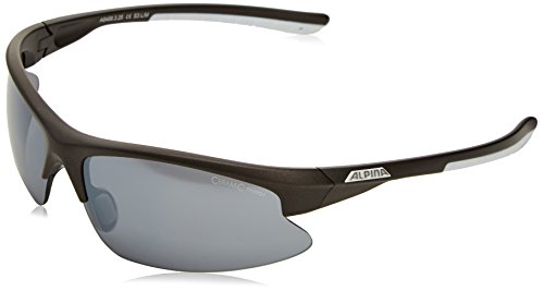 ALPINA Fahrradbrille Dribs 2.0