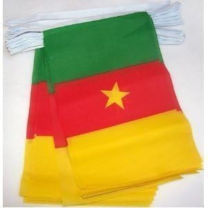 6m 20 Flag Cameroon Cameroonian Material Bunting