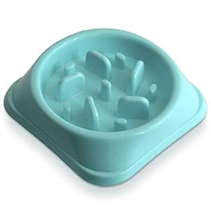 igadgitz Home U6969 Comedero Perros Pequeños Antivoracidad Cuenco Pequeños, Cachorros y Gatitos Alimentación Lenta Tazón Anti-Gulping Mascotas