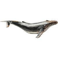Kare Deko Humpback Whale Figura Decorativa, Azul, 52 x 87.5 x 22.8 cm