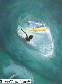 couverture de : L'homme des vagues