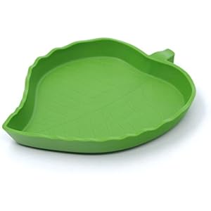 [Gesponsert]ThinkPet Blatt Fressnapf Reptilien Terrarium Aquarium Dekoration L
