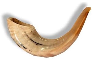 SHOFAROT ISRAEL Schofar Shofar Kosher Rams Horn Instrument Natural Shoffar Shophar schofar Judaica Gift Rosh hashanah Jewish koscher Hupe