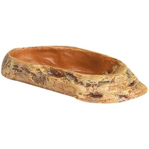 Karlie Futterschacht