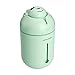 Produktbild Decathlon bear bright light humidifier night light home mini car spray silent air purifier, green