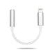 Produktbild CarolinaSale® Adapterkabel Lightning zu AUX - ( Klinkenstecker zu 8 Pin ) für Ihr iPhone 7 / 7 Plus / 6 / 6s / 6 Plus / 6s Plus / 5 / 5c / 5s / 5SE / 4 / 4s ( Adapter silber )